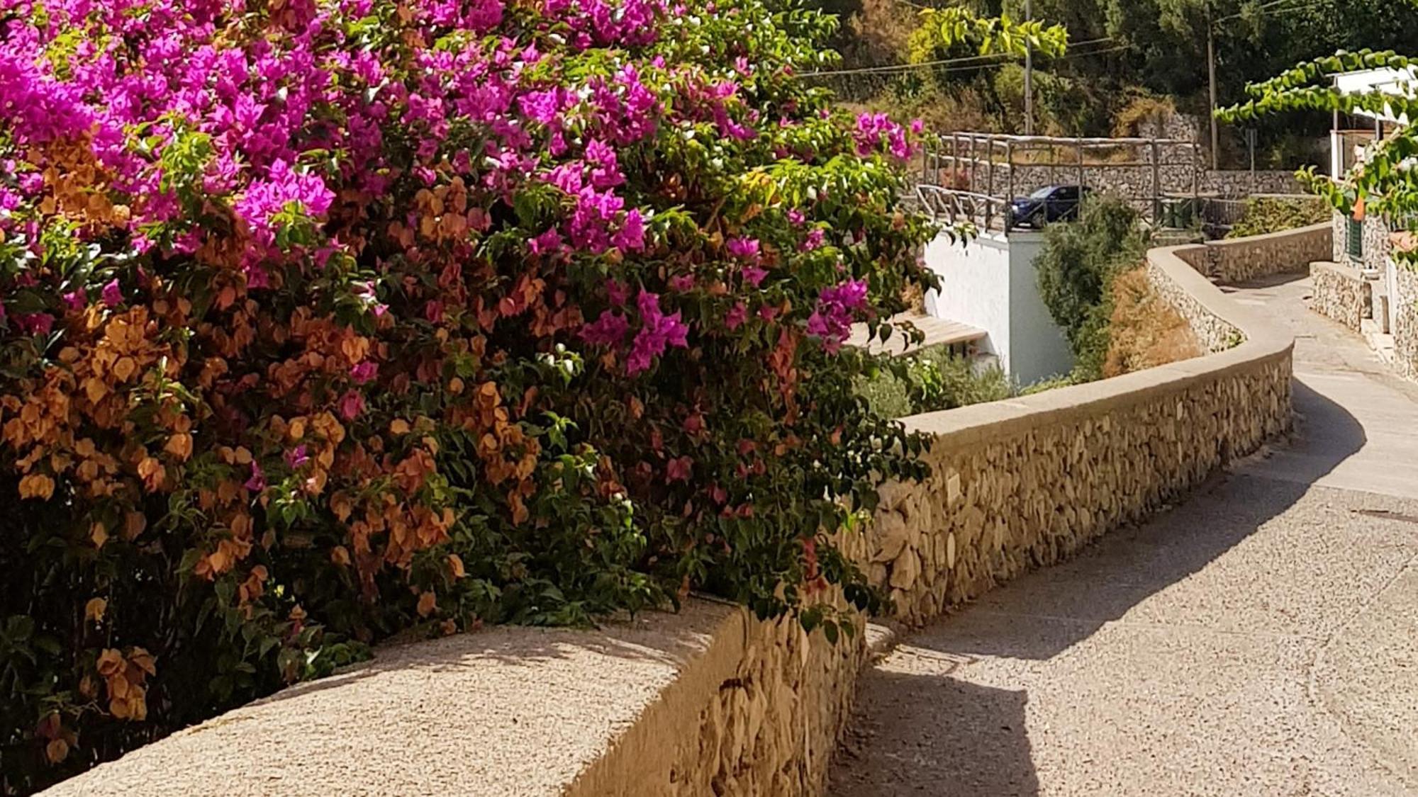 Al Poggio Antico Aparthotel Amalfi Exterior foto